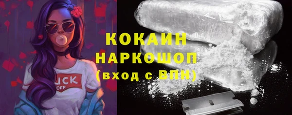 бошки Дмитров