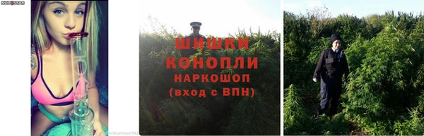 jwh Елабуга