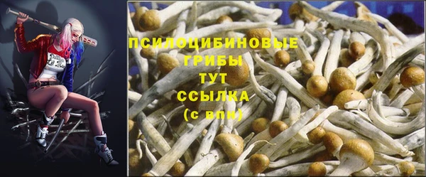 кокаин колумбия Тутаев